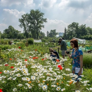 Gent laat 5000 inwoners smullen op voedselrestenbanket