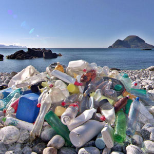 Ochtendlezing: Feesten zonder afval en hormoonverstorende stoffen in plastic