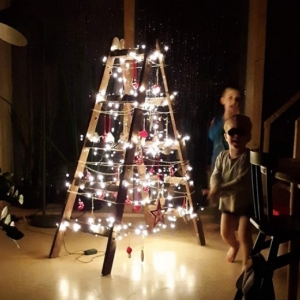 Onze Facebook-volgers delen ideeën voor een alternatieve kerstboom