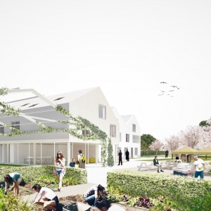 Plannen voor een groen cohousingproject op voormalige witloofboerderij aan de Engelenstraat in Kortenberg centrum